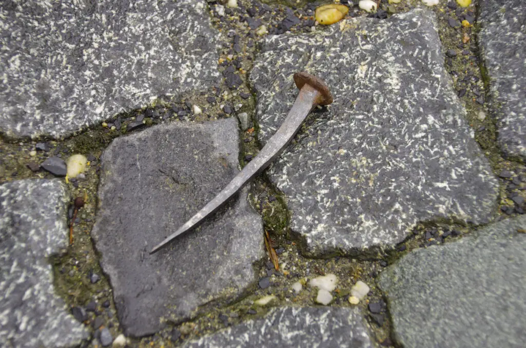Der Nagel